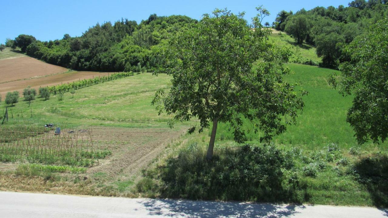 Casa Vacanze Da Peppa Grottazzolina Dış mekan fotoğraf